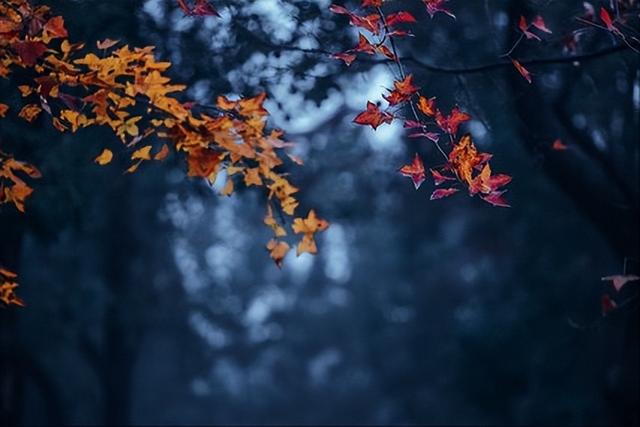 “清明早，寒衣迟”，寒衣节上坟有讲究！记住：2不供3不去1忌讳