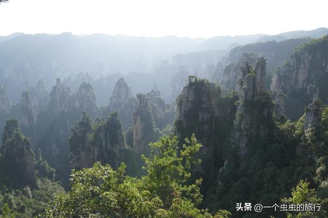 悬浮山实景！张家界天子山，阿凡达导演看了都直呼内行！