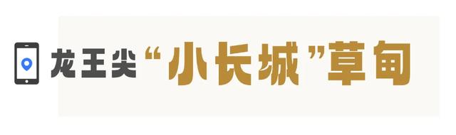 武汉版“小川藏”!黄陂8条绝美自驾线来啦