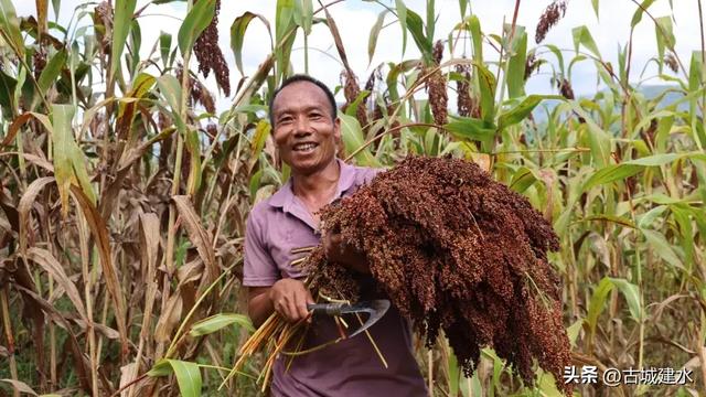 今天,红河州68岁了!