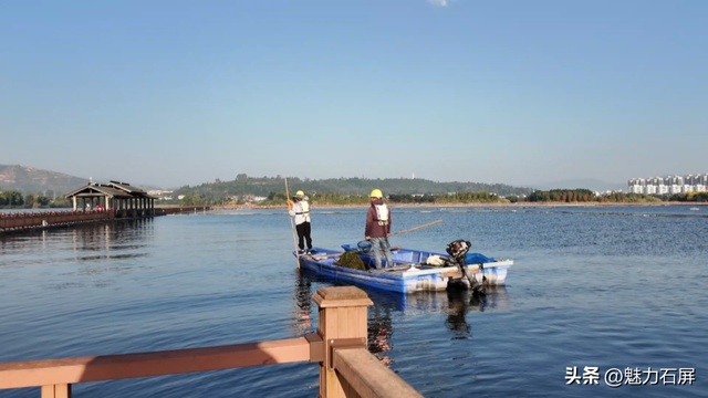 跨越山海的生态之约 奏响人与自然和谐乐章