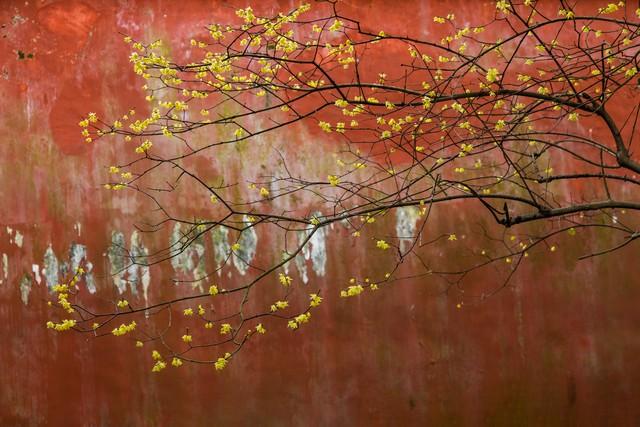 这不是迷信！“最怕立冬是雨天”，今日立冬，下雨啥预兆？
