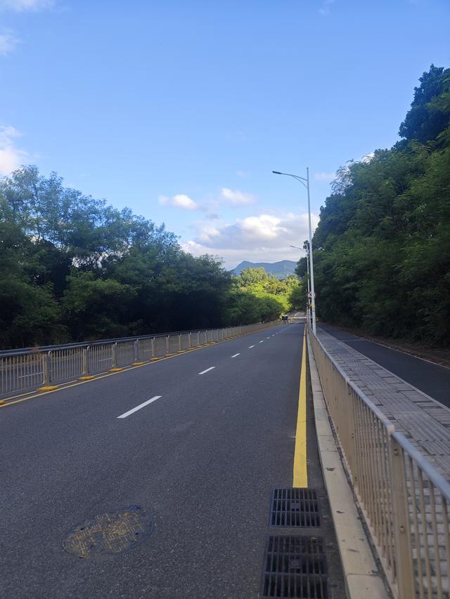 西丽湖绿道，慢慢骑慢慢地欣赏。