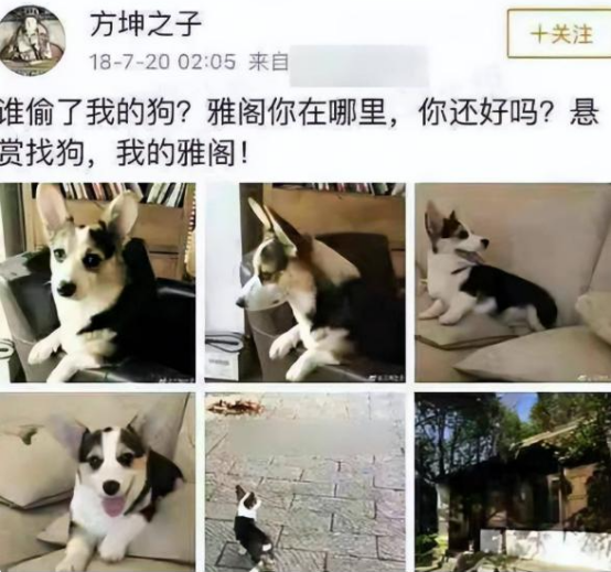 53岁袁立不再隐瞒！撕开了张国立的真面目，连章子怡受到了牵连