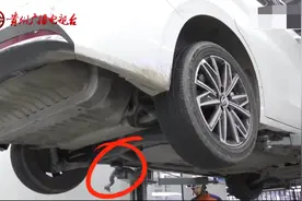 车内异响发现2米多长眼镜蛇盘踞图片