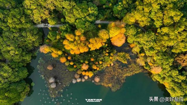 发现深圳“阿勒泰”这些机位的人，真是天才！