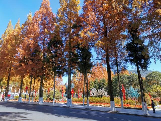 藏不住了！江西这5处红叶秘境，惊艳了整个秋天