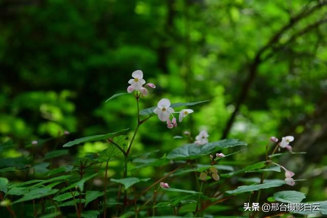 夏日避暑好去处——邢台大峡谷