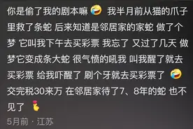 你做过哪些古怪奇怪的梦？网友：梦里的电话千万不要打！图片