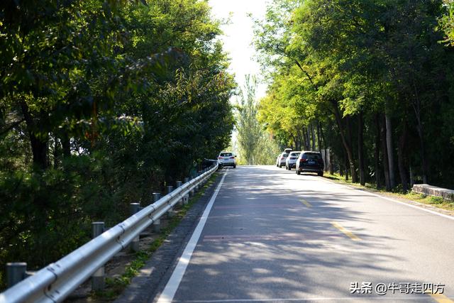 延庆应梦寺（五）：山巅极目收千嶂，林海听风涤尘心