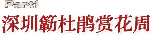 福田11月商圈狂欢指南，错过等一年！