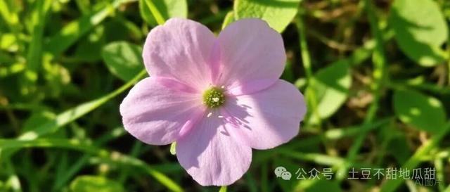 女人有了新欢，表现是如此明显