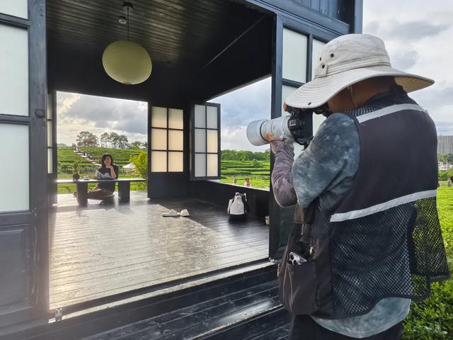 惠聚美好丨一片叶子,带火了博罗这个镇