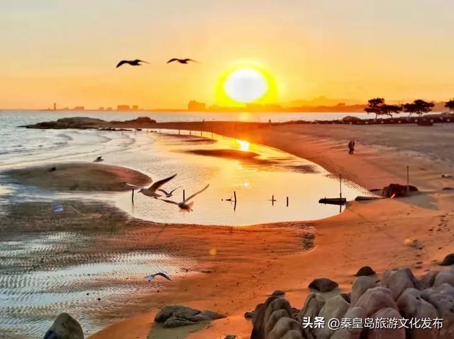 来秦皇岛，解锁冬日种种缤纷“美色”！