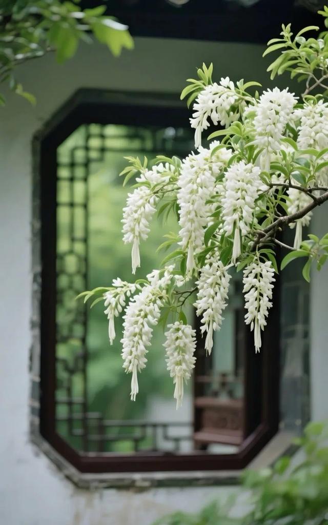 #治愈系风景 #清新美景