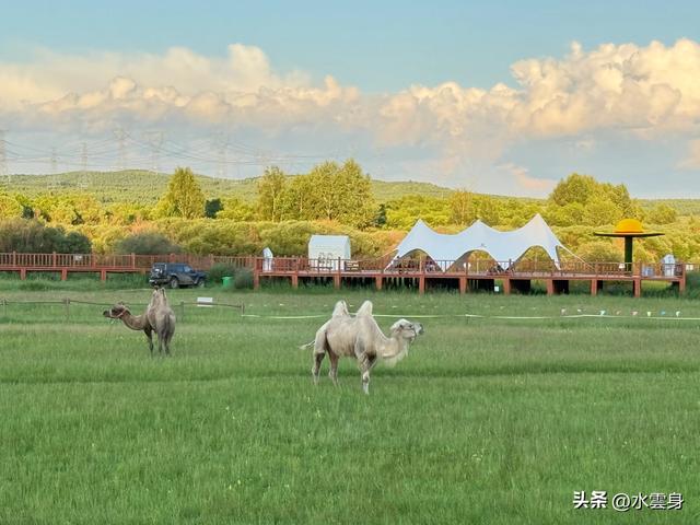 向北而行：北京自驾沽源、多伦、太仆寺旗草原牧歌（3）沽源多伦