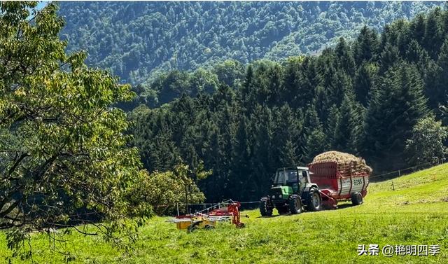 欧游杂记（5）‖ 齿轮火车几上几下瑞吉山，缆车凌空飞跃韦吉斯