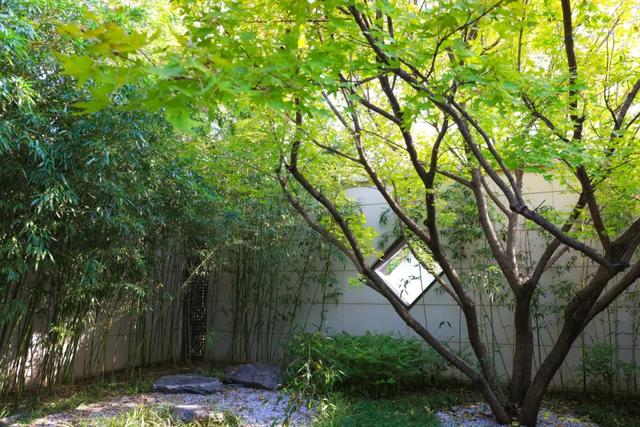 从从容容游刃有余!把江南的秋天“搬进”石景山——