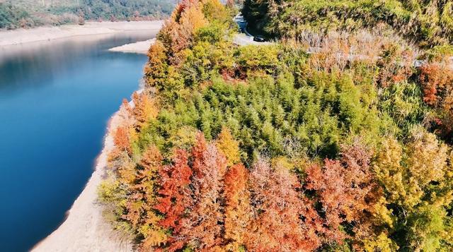 宁波秋季乡村游，魅力何在？