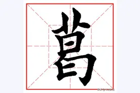 每日一字919：葛图片