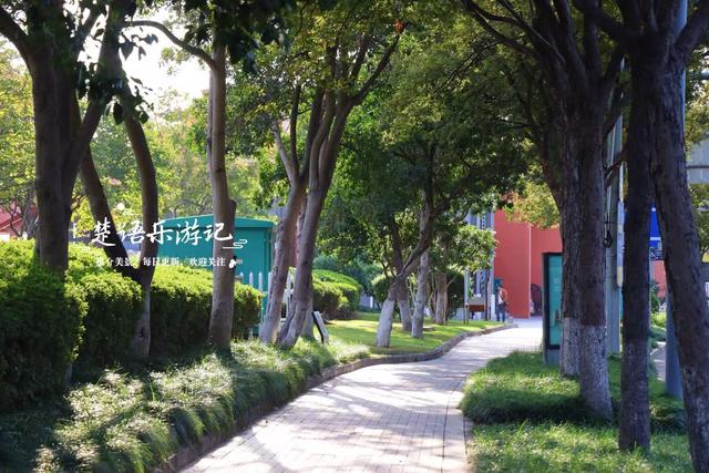 宁波镇海的沿江景观带，没有粉黛花海但是景色很美，非常值得游玩