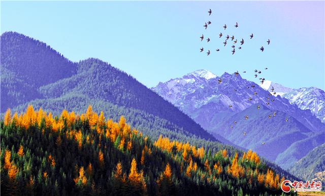 何以中国·壁画里的中国｜当“九色鹿”跃入张掖 西部生态名城再绘“绿水青山”新卷