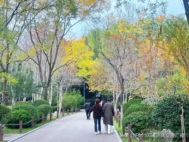 公园景区秋色图鉴，这几处必打卡