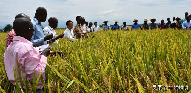 小物件，大改变！非洲的中国力量