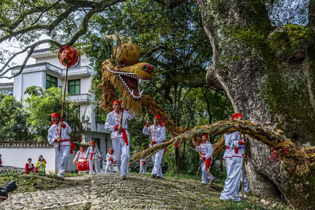 年休假去哪嗨？黄山文旅8月狂欢已就位，快乐密码就藏在这片山水里！| 皖美夏日