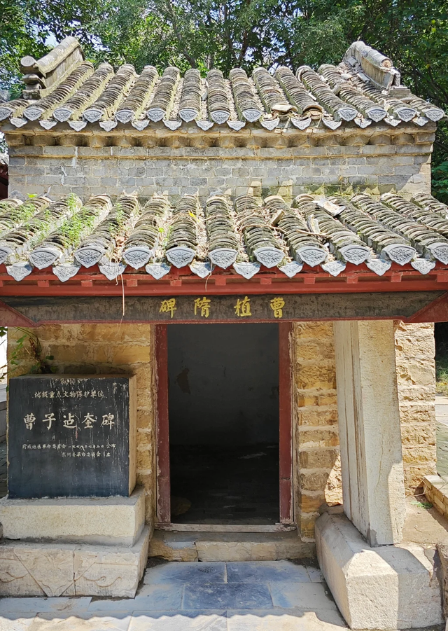 好客山东与驴的故事，从这座小城说起……