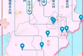 春日限定浪漫！2024华北赏樱地图带你看哪里可赴一场“花约”图片