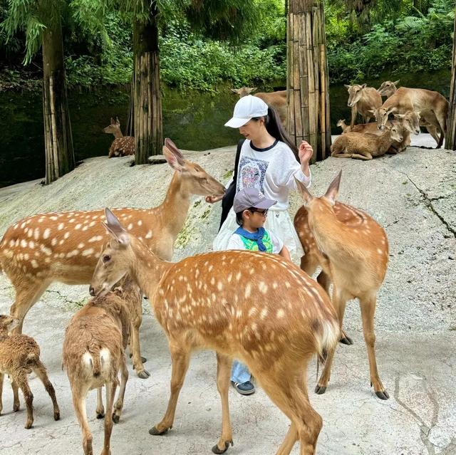 碧峰峡“川超”专属钜惠福利来袭！免票、半票豪情放送！