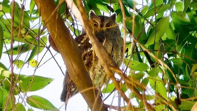 早安广州 | 爱自己，是人生道路上的修行