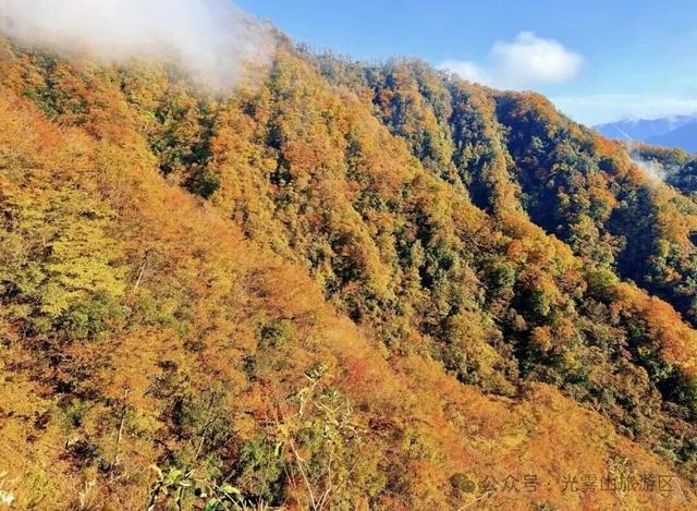 宝子你听我说，近期天气好、红叶美，光雾山可以冲了!