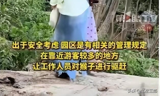江苏男子扬言打老人后续：南京文旅做出回应，身份被扒全网社死