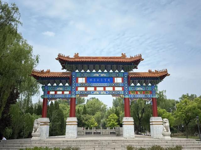 十一，这一次不得不去济宁了！