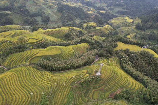 “全球广西文旅体验官计划”启动，多国知名博主组团来桂林采风