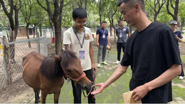 冬日遛娃无需远行,来紫谷萌宠乐园解锁超多趣味玩法!