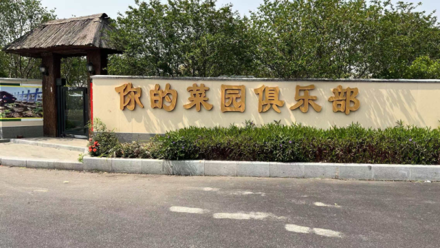 南海研学基地上新，桂城3家上榜！遛娃充电好去处→
