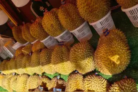 榴莲产量明明不低，为何价格一直居高不下？原来6个原因很现实图片