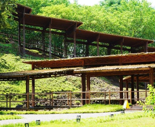 带爸妈出发！邛崃银发康养游线路来啦~