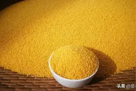 如何识别姜黄粉染色的小米？图片