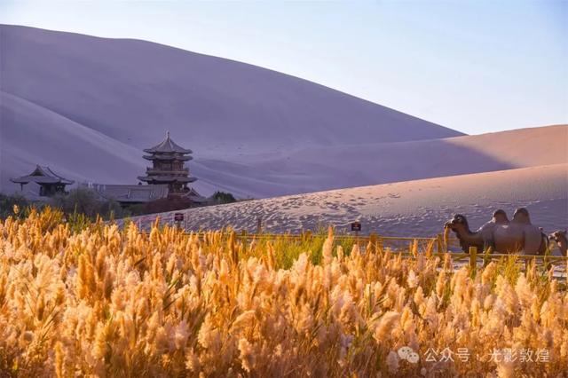 甘肃敦煌：深秋时节大漠秋景醉游人