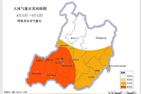 暴雪大风→呼伦贝尔市启动重大气象灾害（暴雪）IV级应急响应图片