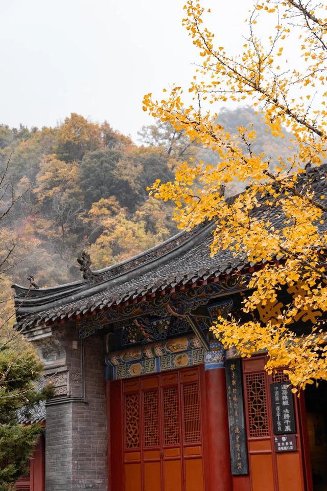 11月旅行地推荐！这13个赏秋地无对手，还藏着国内四大绝美秋色