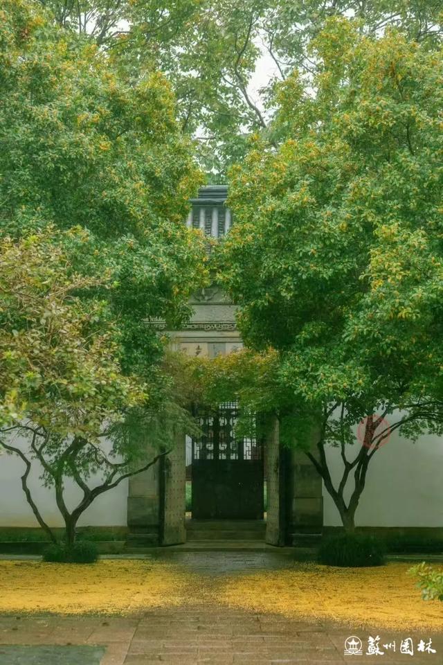 桂香满城！苏州桂花赏花地图来了！