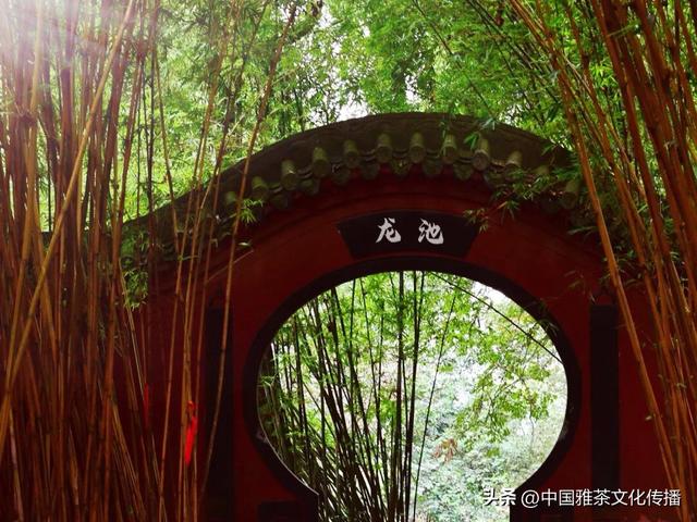 嘉州：千年古韵中的诗意与豪情