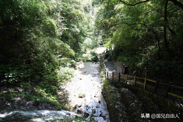 “渝黔生物基因库”黑山谷游记