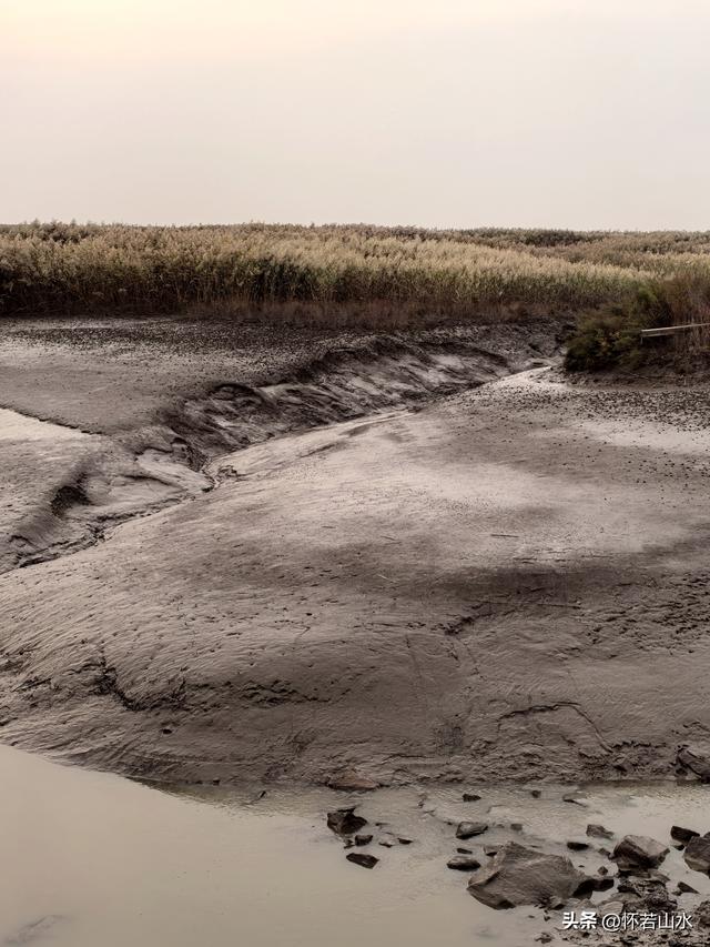 2025辽宁赏秋之旅日记(6)——到辽河口中国最北海岸线看日出 观鸟