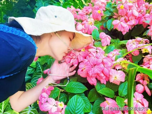 晚霞姐带你探寻海南的真实面貌——写于台风“剑鱼”过境之后